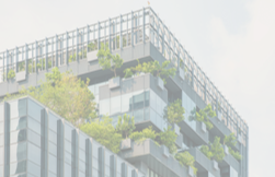 Мария Осташенко и Анастасия Петрова выступили на форуме ЦИФРАПРАВА